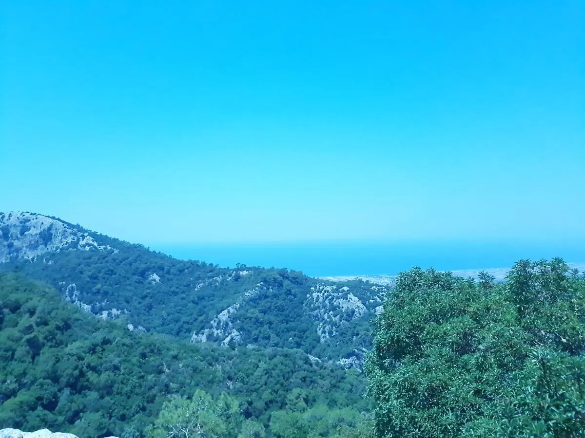 Апартаменты Esin Sitesi Kusadasi Давутлар 0*,
